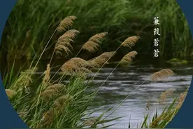 起名改名别跟风，伊字适合起名吗？图片