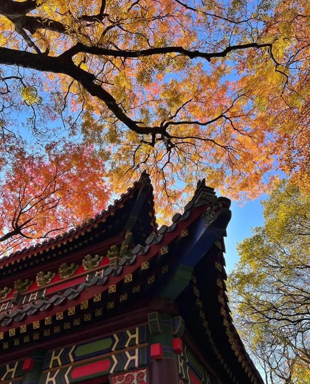 南方的秋色与北方大不一样，水墨江南就是说的这里吧！