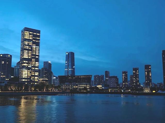 漫步前海：邂逅花海、踏浪听风，在摩天轮下收藏一城浪漫