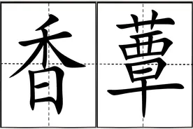 “香蕈”不读xiāng qín，99%容易念错，怎么读，香蕈指什么？图片