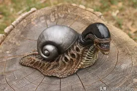 你永远猜不到这些蜗牛竟然有如此恐怖的形态！图片