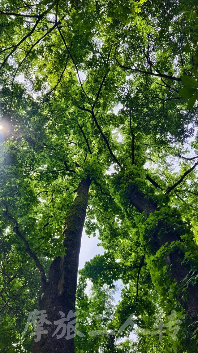 皖浙摩旅二人转——蜈蚣岭篇（下）
