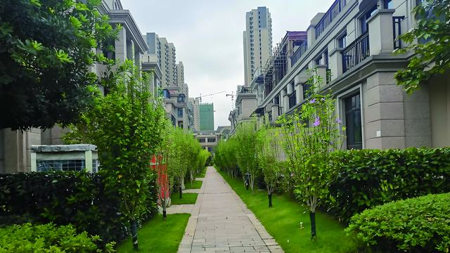 2025长沙市十大最贵小区：长房梅溪香山、达美溪湖湾、京武浪琴山