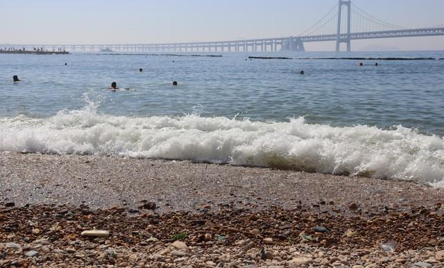 大连这回美到全国都知道了！