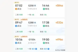 真没想到武汉到青岛不到1400公里的路程G258次高铁居然运行8小时图片