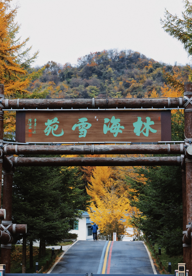广元不远 周末优选 | 秋色短暂，曾家山赏秋路线来啦！