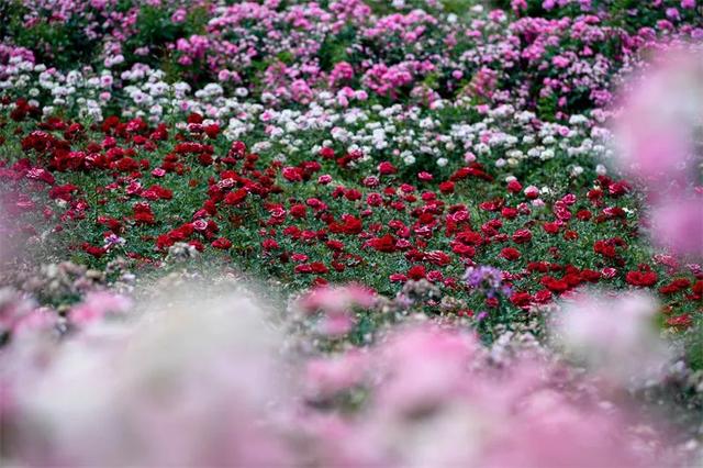 正在公示!红河州3地入选