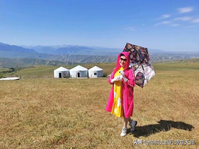 新疆喀拉峻草原,花斑森林镶嵌在高山草甸上