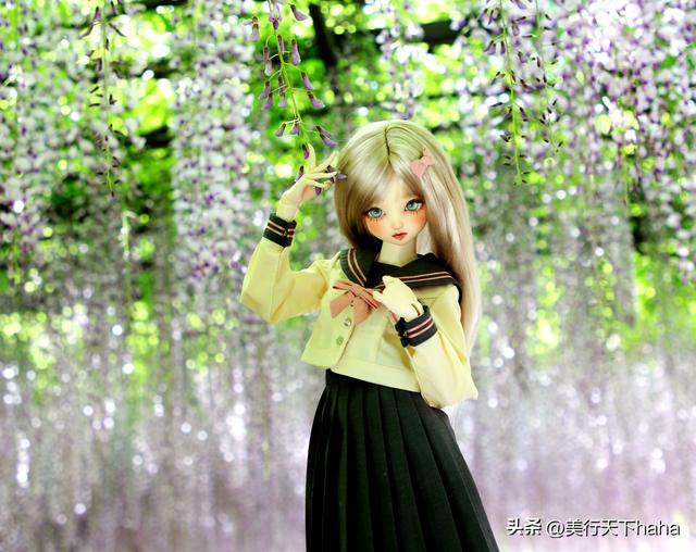 玉渊潭公园紫藤花开，诗意满满，演绎“一帘幽梦”的极致浪漫