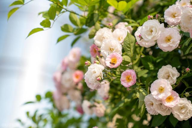 退休2年了，背着电脑去旅居