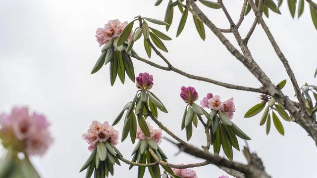 春假倒计时｜汉江源亲子踏青指南，承包全家春日欢喜！