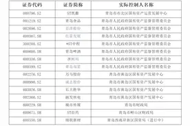 2024年半年报盘点：青岛国资控股A股上市公司达15家图片