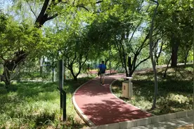 “有了这条步道，在家门口就能健身！”图片