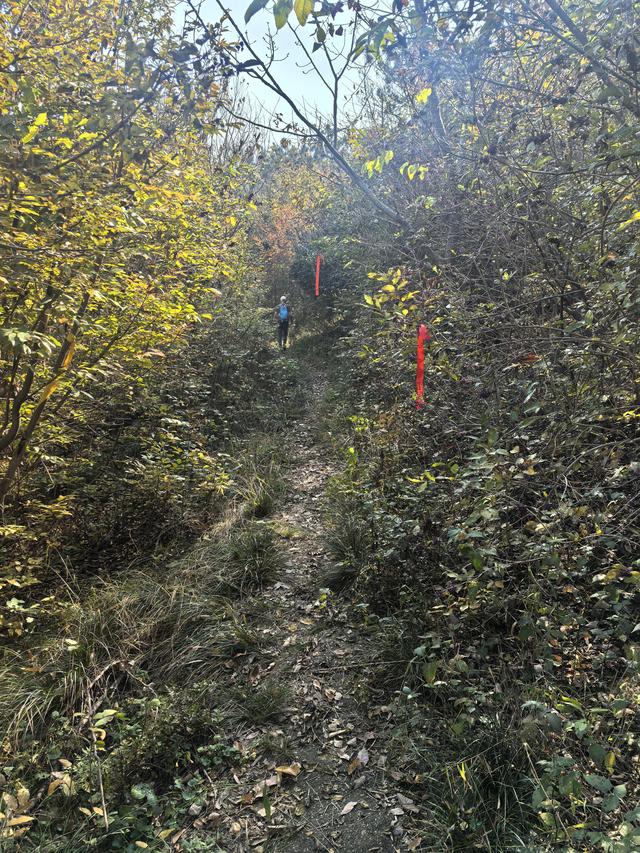 南京龙尚湖，大连山，佘村一日郊野徒步