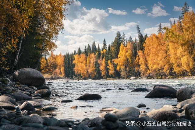 9 地秋日赏秋实测攻略！附最佳时间 + 落地玩法，收藏直接走