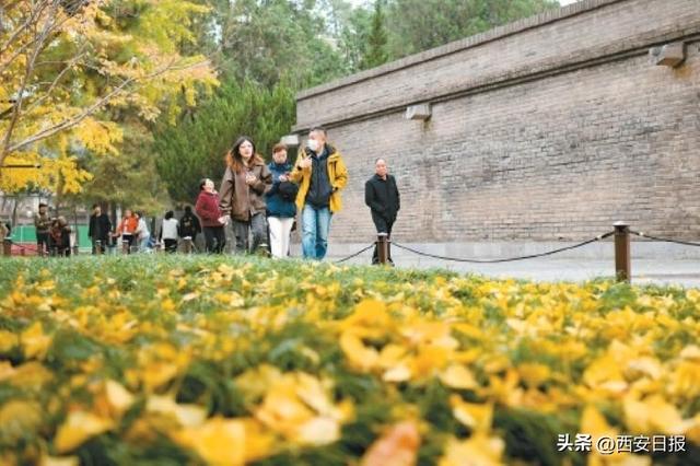 一座静立的塔，一首千年的诗，和一个愿意停下脚步、侧耳倾听的人——这就是文化传承最美妙的方式