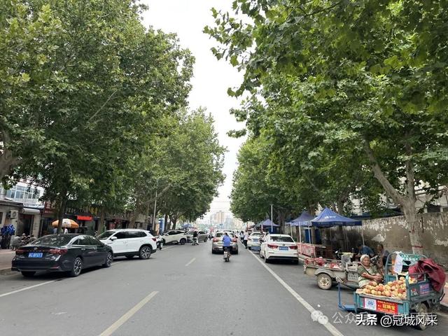 冠县印记·兴贸路