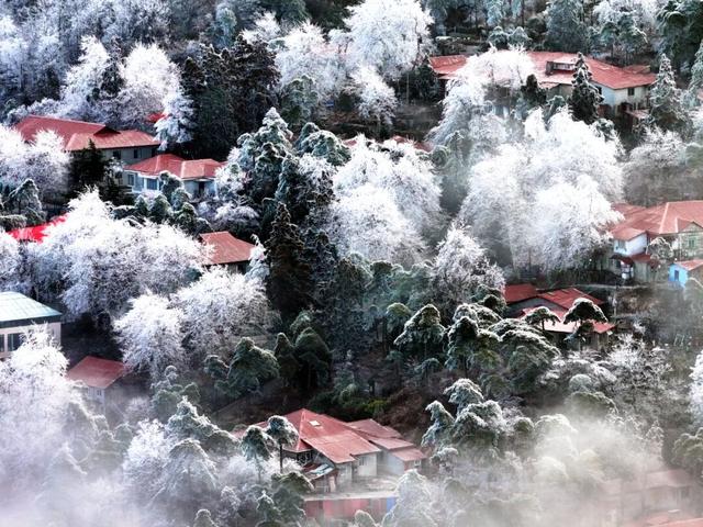 庐山喜迎马年首场雾凇奇观