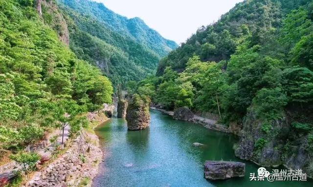 桐花今又将盛开！邀你来楠溪江，共赴一场“五月雪”之约 ！