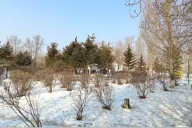 2020年确诊焦虑病后，我在第三医院住院的2次生活经历图片