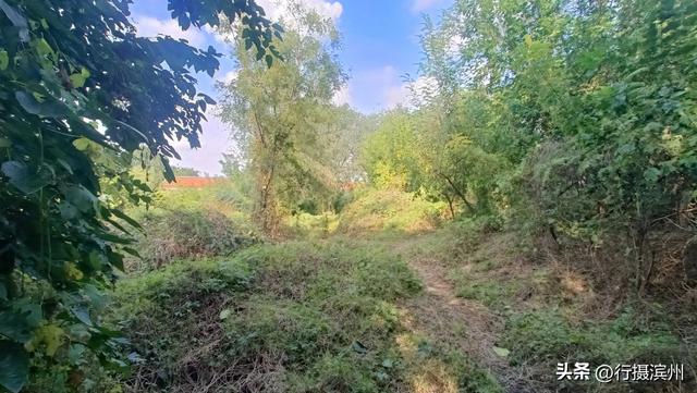 【行摄滨州】沾化古城现状