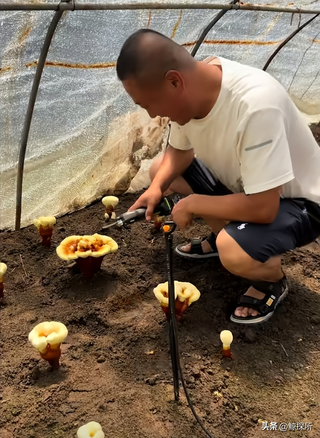 又一东北网红塌房！证据摆脸前还嘴硬不承认，当地人都跟着受牵连