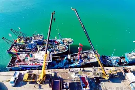 今早，数万斤大鱼在日照这里上岸！商贩争抢头口鲜！价格来了图片