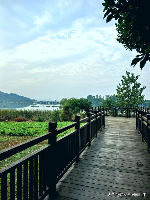 东湖绿道东西大环线五十公里畅快骑行！