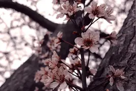 考公，不要长期待在家里备考，真的会废掉!选择这些地方更有效图片