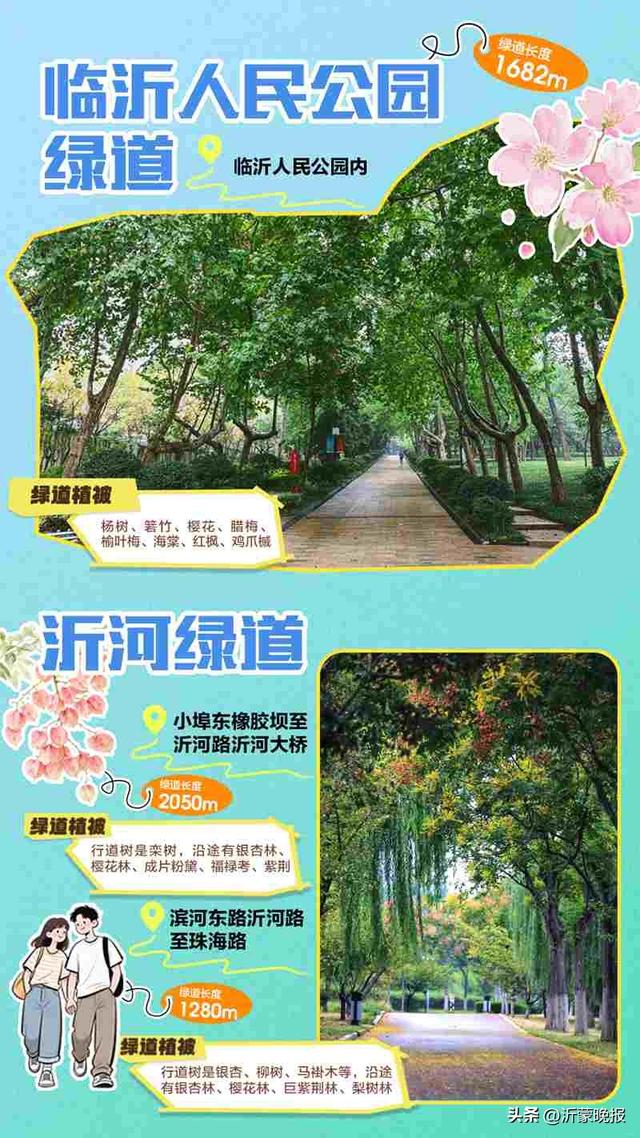 藏不住了！临沂35条诗意绿道，道道有风景，步步皆诗意