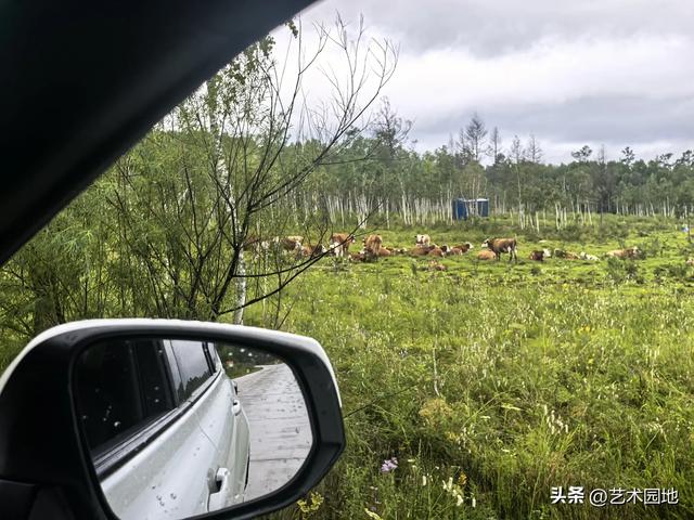 醉美331 美醉自驾人