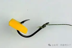 十大野钓鲤鱼饵料排名，第一名是玉米，玉米堪称是“素饵之王”！图片