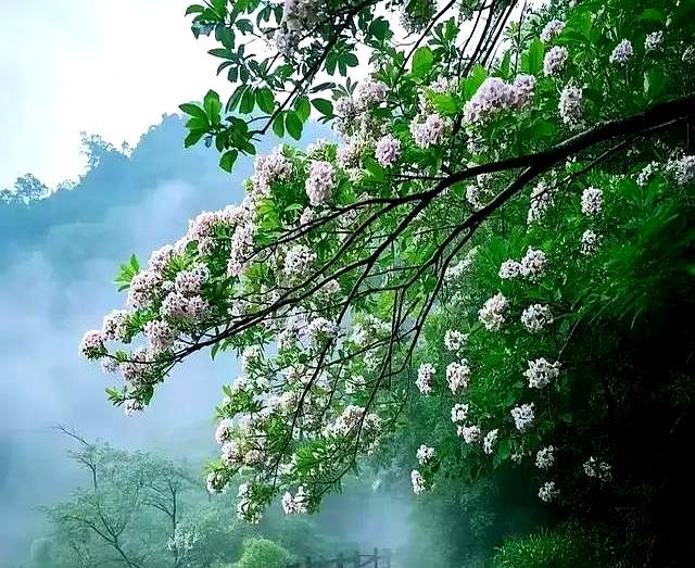 “钱不借二，礼不随三，情不给四	”：七十岁后	，你就明白了