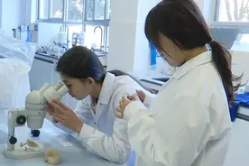 赢麻了！云南首个“菌子学院”成立，啊真“香”~图片