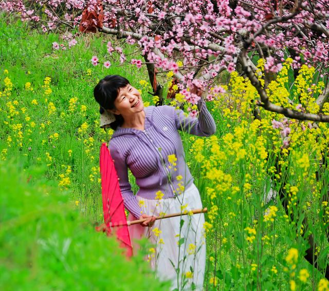 【襄城无处不飞花】桃花朵朵开 桃花岭的明媚春意 等你来解锁!