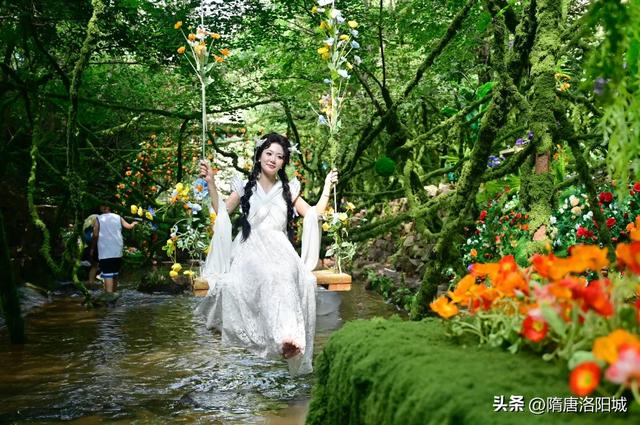 太美啦！@各位小仙女，洛阳这里上新“绿光森林”梦幻场景！