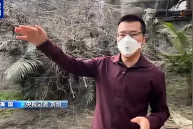 记者探访洛杉矶山火重灾区：一路都烧成灰烬了图片