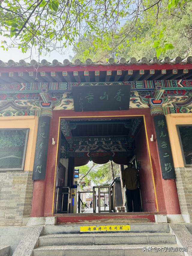 洛阳几天实地游玩的感受还有你必须知道的注意事项旅游攻略