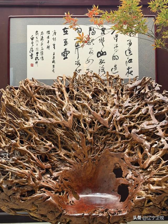 是时候重新认识一下阜新了,被低估的辽宁真·宝藏小城......辽宁卫视 辽宁卫视