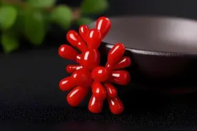 入手红珊瑚，先去了解再下手，小白的你不吃亏图片