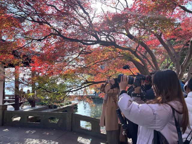 杭州红叶季：桂花之后百花杀，旖旎红叶胜百花。