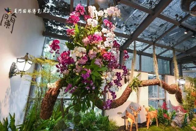 园博苑灯会、市集“常驻”啦！还有绝美花海……