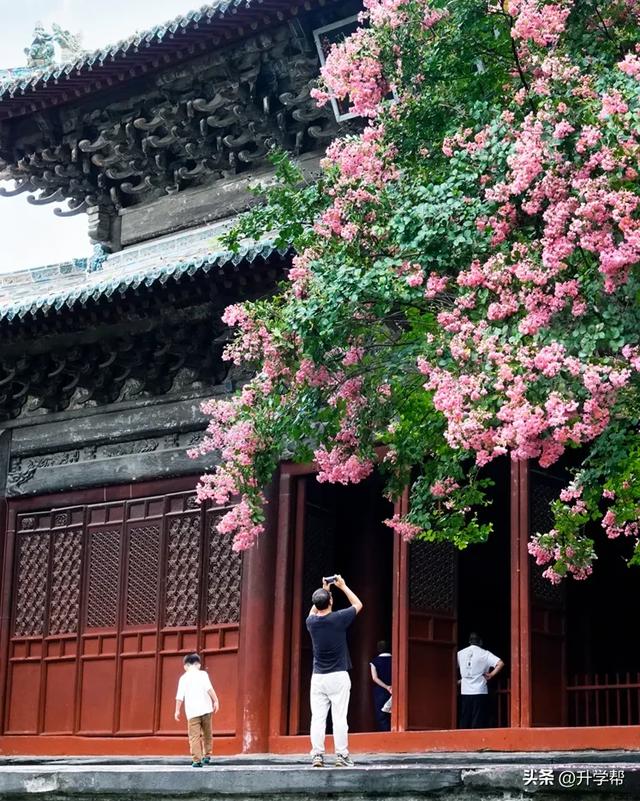 初秋，到平武走一走！宁静治愈很“上头”~