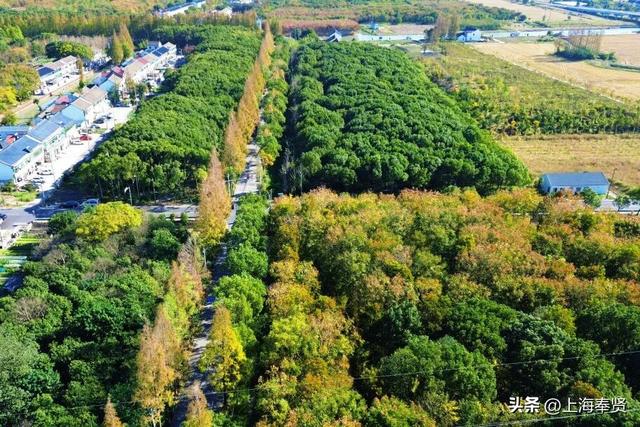 在庄行渔沥，抛一竿清风，钓满眼诗意