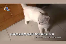 “当时是好奇，也没想着卖它”，现在她很后悔图片