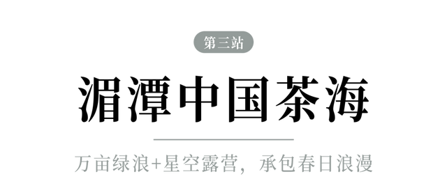 春假出逃计划 │ 从指尖绿意到星空露营，开启春日黔北茶韵之旅！