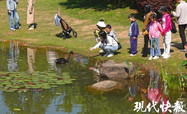 五一南京变人海：700条船不够用，全在看后脑勺！