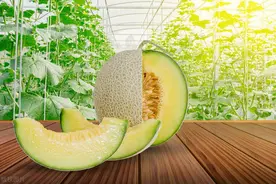 哈密瓜不可以随便吃吗？医生：5类人平时或要少吃，建议尽早知晓图片