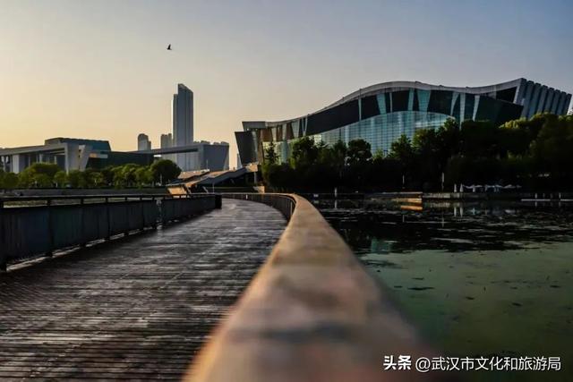 不晒不累！暑期来武汉，人气景点这样玩
