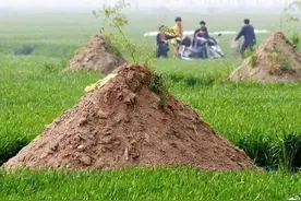 老人过世的丧葬习俗图片